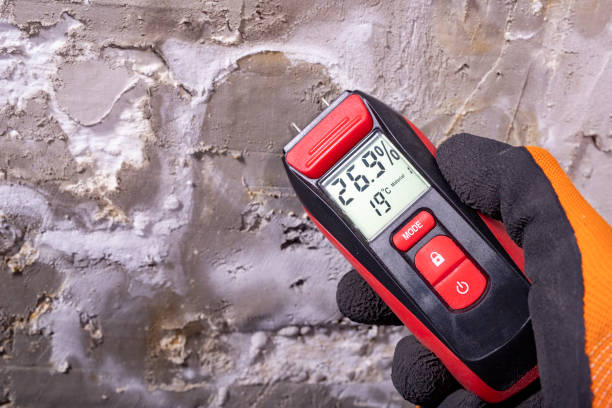 Best Water Damage Restoration  in Merritt Park, NY