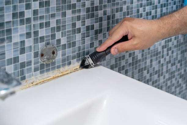 Best Mold Removal Near Me  in Merritt Park, NY