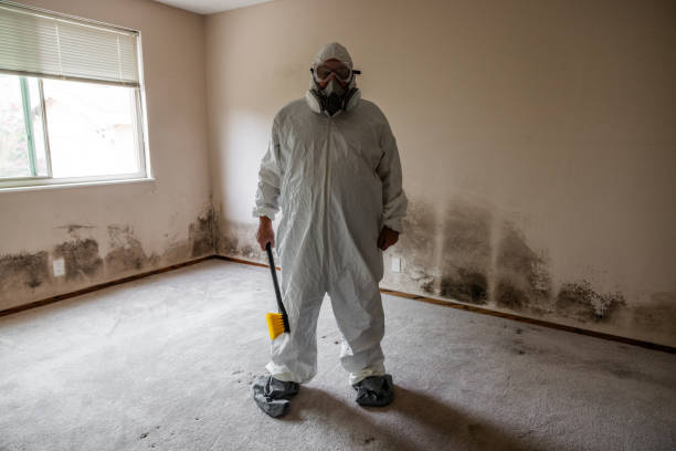 Best Mold Remediation Services  in Merritt Park, NY